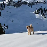 Apart-wolf-arlberg Aparthotel