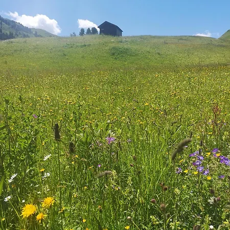 Apart-wolf-arlberg Aparthotel Warth (Vorarlberg)